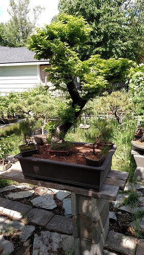 IMG_20180526_122059535