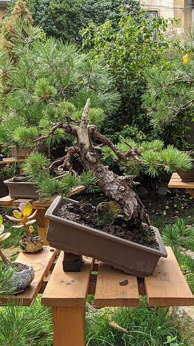 PXL_20201001_121559899.PORTRAIT-02.ORIGINAL