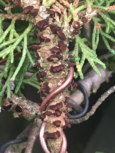 20190322