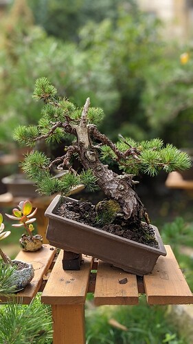 PXL_20201001_121559899.PORTRAIT-01.COVER