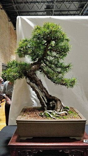 IMG_20191020_123856