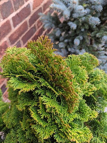 IMG_20190222_074447