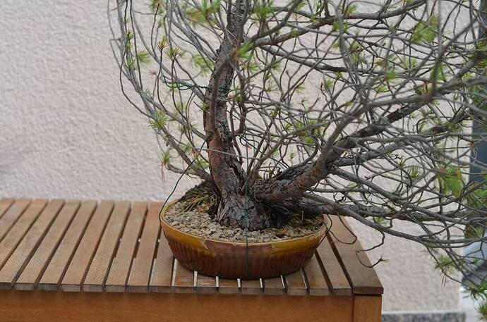 37909138_573954669668001_9200538934147284992_o