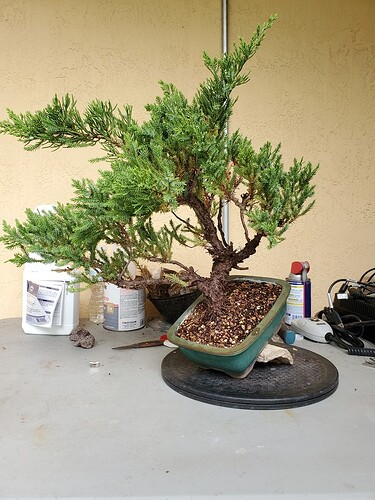 15915437585292477892914011125462