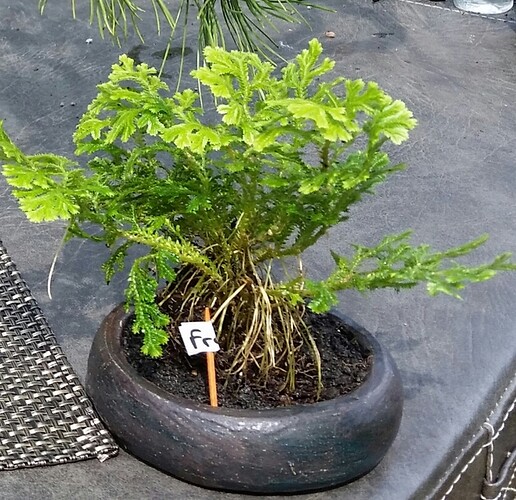 20190420_055950