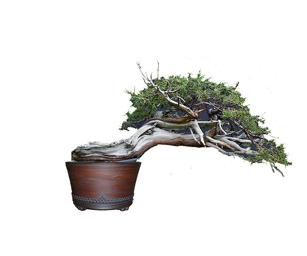 Posible Pot 1