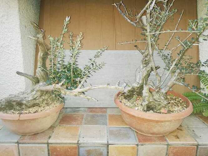 WhatsApp Image 2020-01-24 at 18.08.48