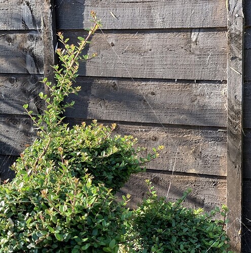 C6A9F4F4-C48D-403F-81A3-470C97CDC3F1