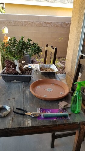 20190228_170120