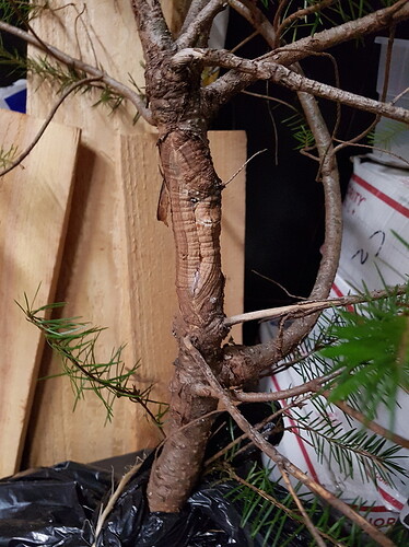 20190224_124136