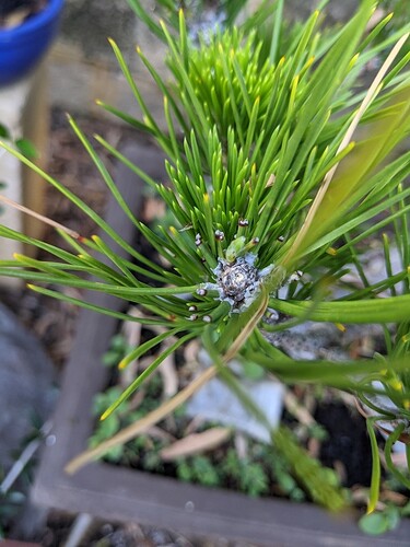 PXL_20201208_223122207