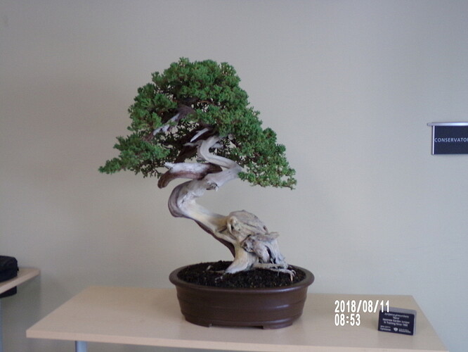 jun%20pro%20nana%20bot%20garden