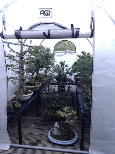 1544698051752257392983