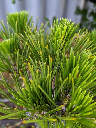 PXL_20201208_223032877