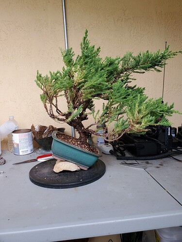 1591543812992460637960471889012