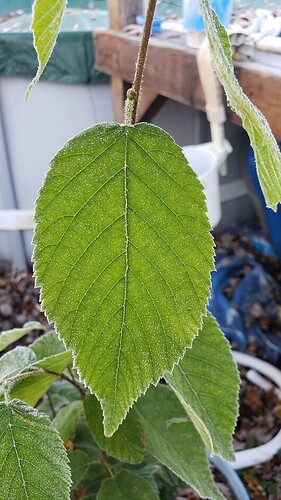 20201031_080251