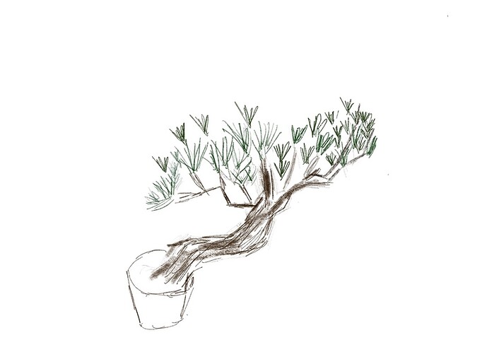 Untitled_Artwork%202