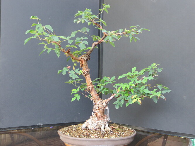 Frt 11Aug2020