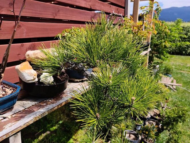 123140407_3713944031989398_7816785155326871390_n