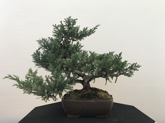 HqGFLHKnTEyfqrjK27zjcw