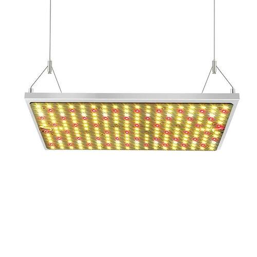 grow light 2