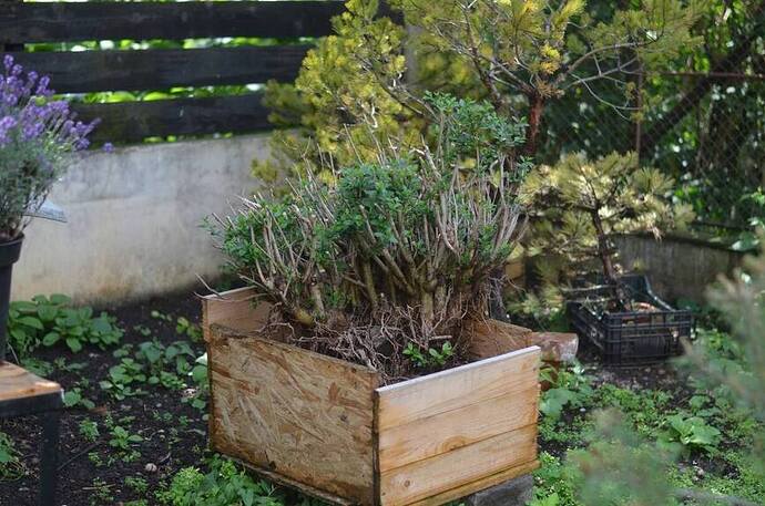 34808145_530835587313243_8945297845313863680_o