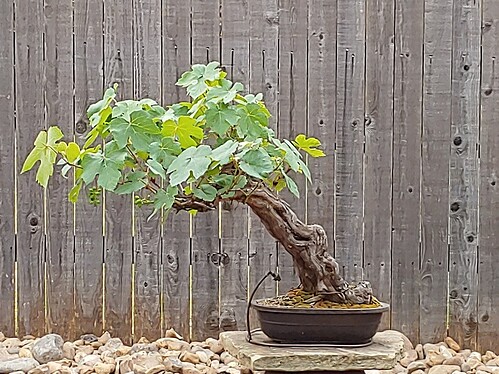 20190423_112932