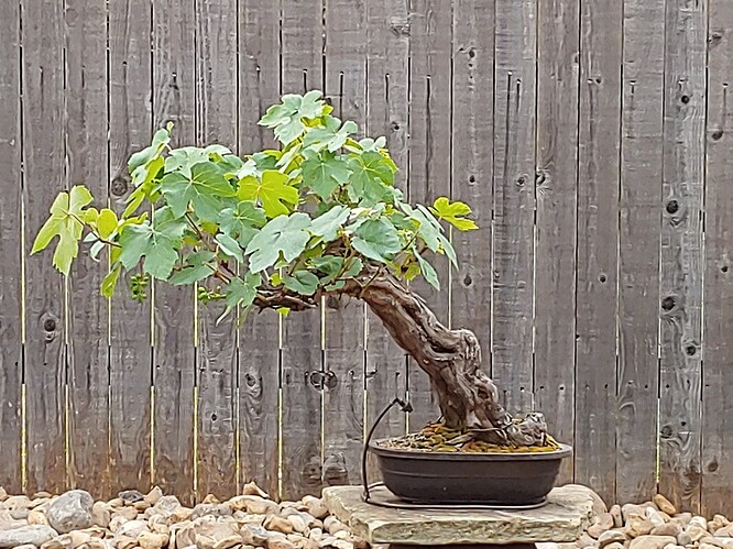 20190423_112932