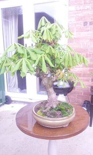 IMG-20190501-WA0000