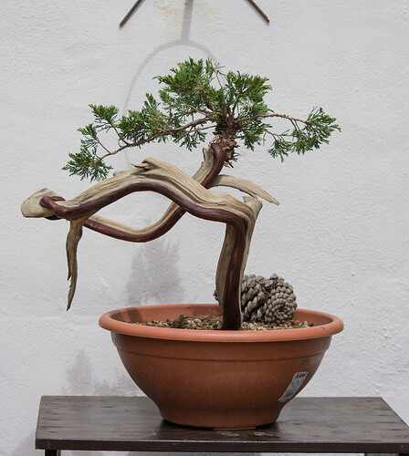 David Juniper-1