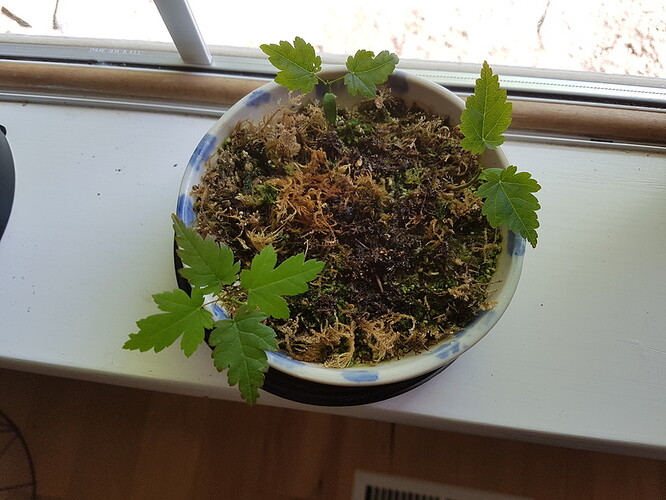 20190505_155835