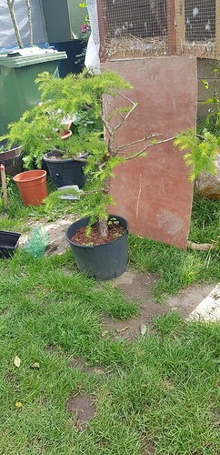 20190525_163611