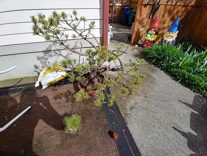 20190420_154706_HDR