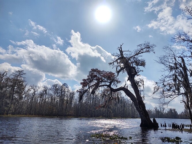 IMG_20191130_115812394_HDR