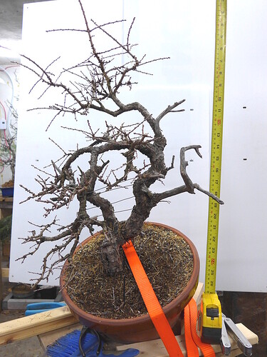 larix-20200401-cleanup