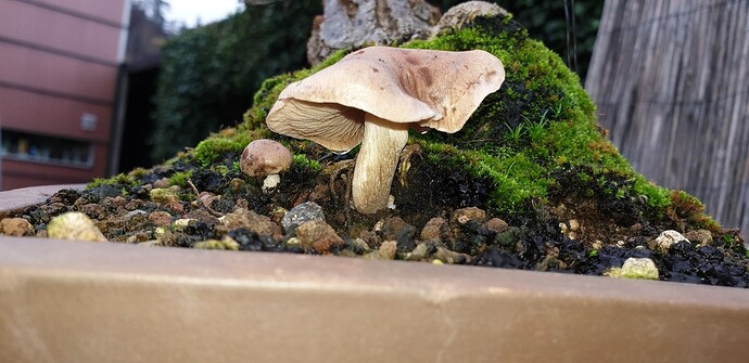 20201105_135916
