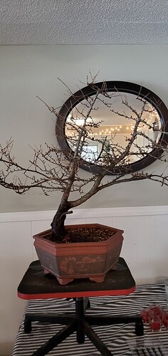 20200329_110927