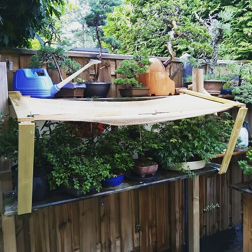 IMG_20200811_194248_887