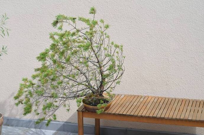 37884252_573954676334667_2157715587243966464_o