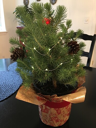 2018-11-21_09-44-30_682