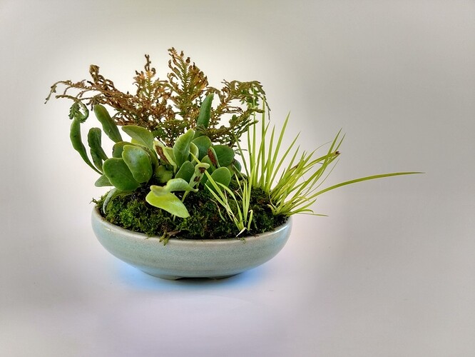 IMG_20190909_133413377_HDR