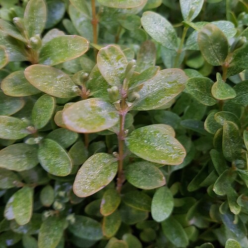 20190410_063459
