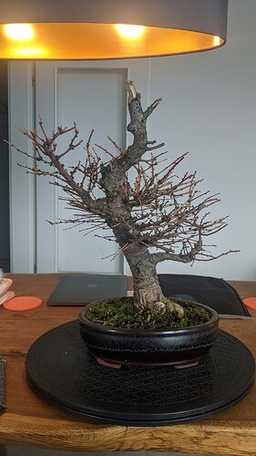 PXL_20201212_124700963