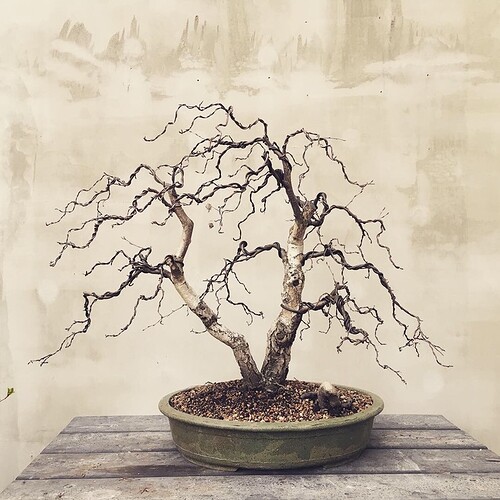 88CF0E6D-75DA-4495-B3FC-891E50704E04