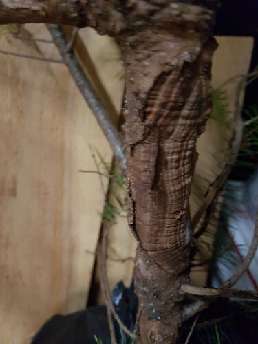 20190224_124057