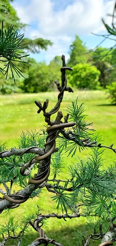 20200704_090824