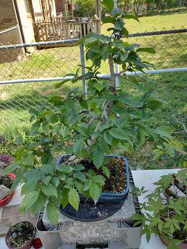 received_617637006716768