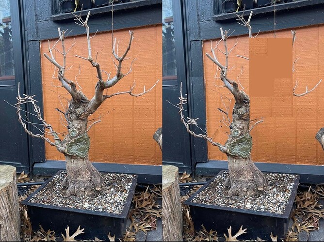 Lg. Trident Be4 & After