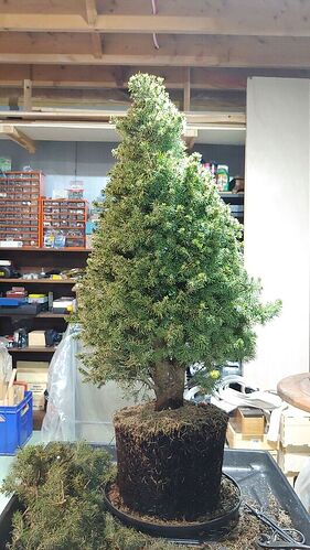 20201213_165436_compress73