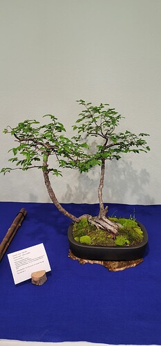 IMG_20230404_224005